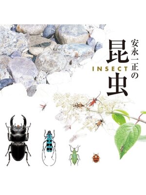 cover image of 安永一正の昆虫